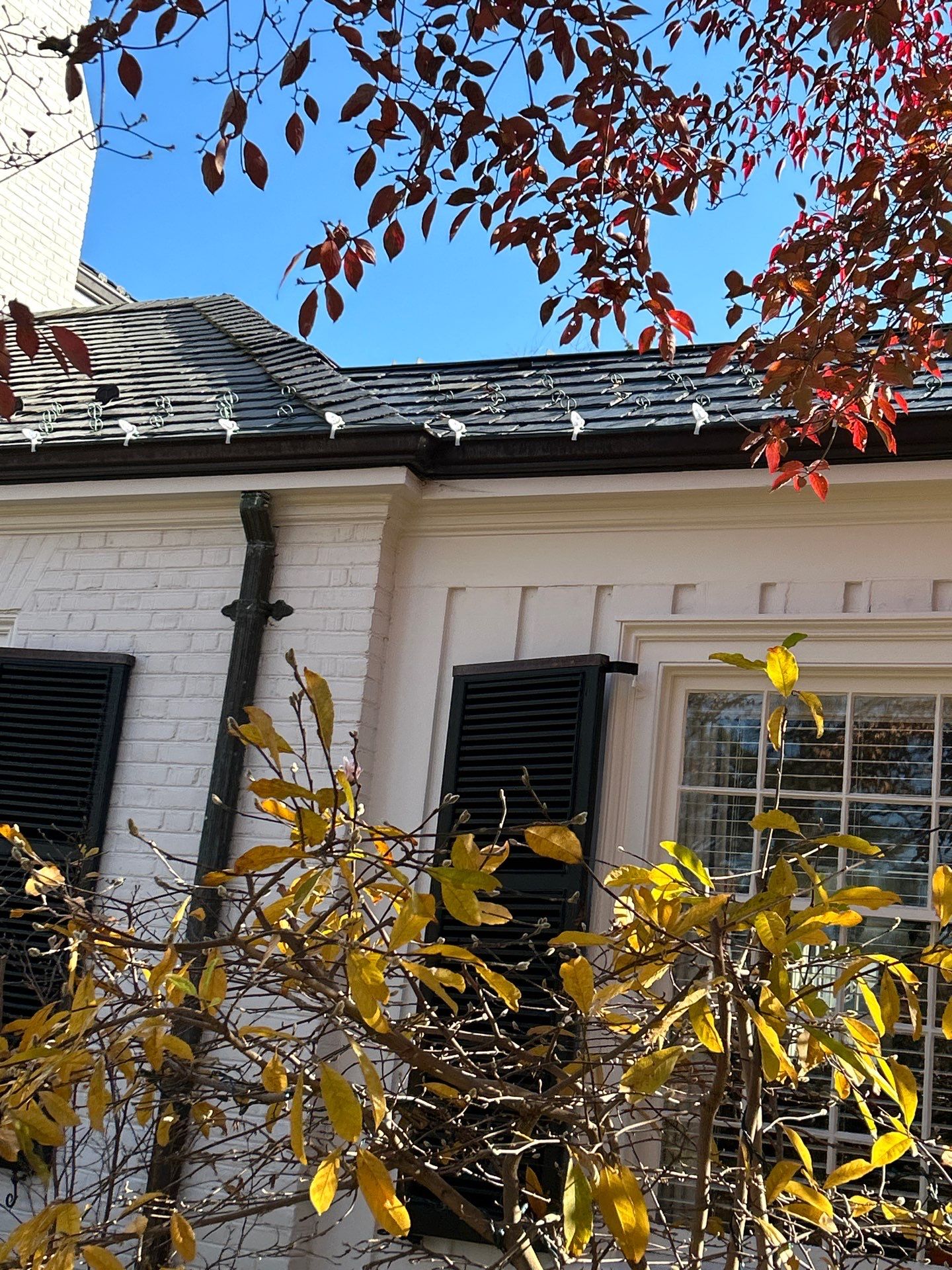 The Best Holiday Lighting Contractor in Charlottesville 